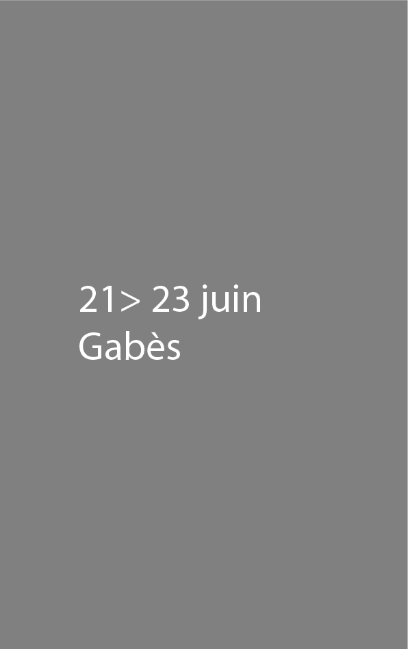 Coaching for Interpretation in Contemporary Dance - Gabès 